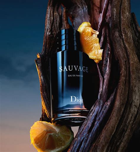 aude de parfum dior|dior sauvage vanilla.